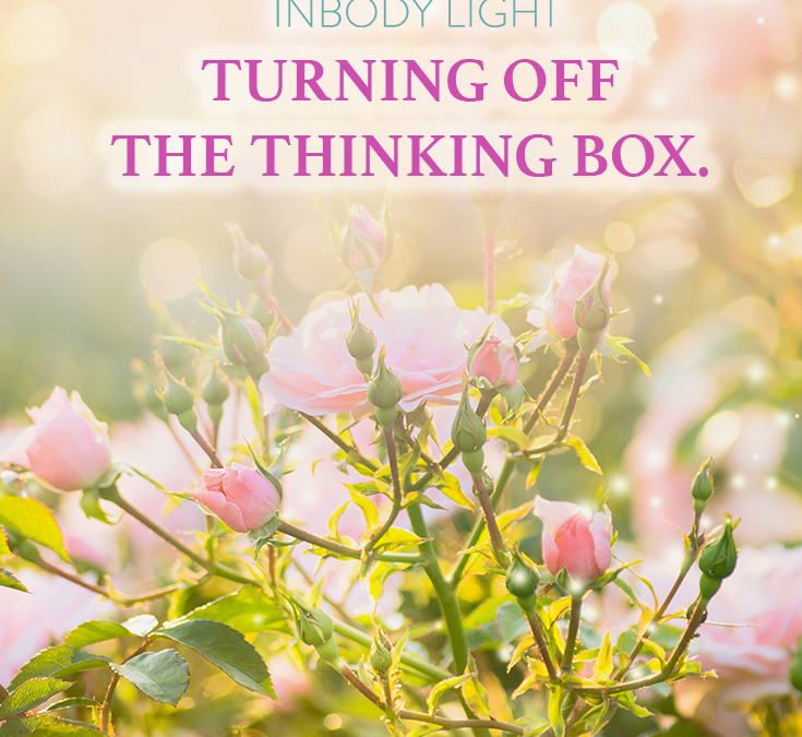 Turning off the thinking box.